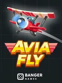 Avia Fly crash at 75BD COM